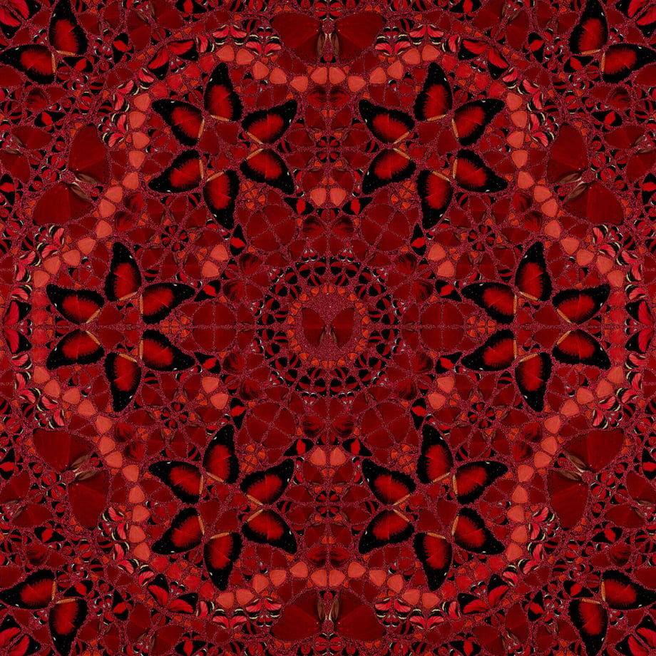 6203431d0020fc3c900cf370