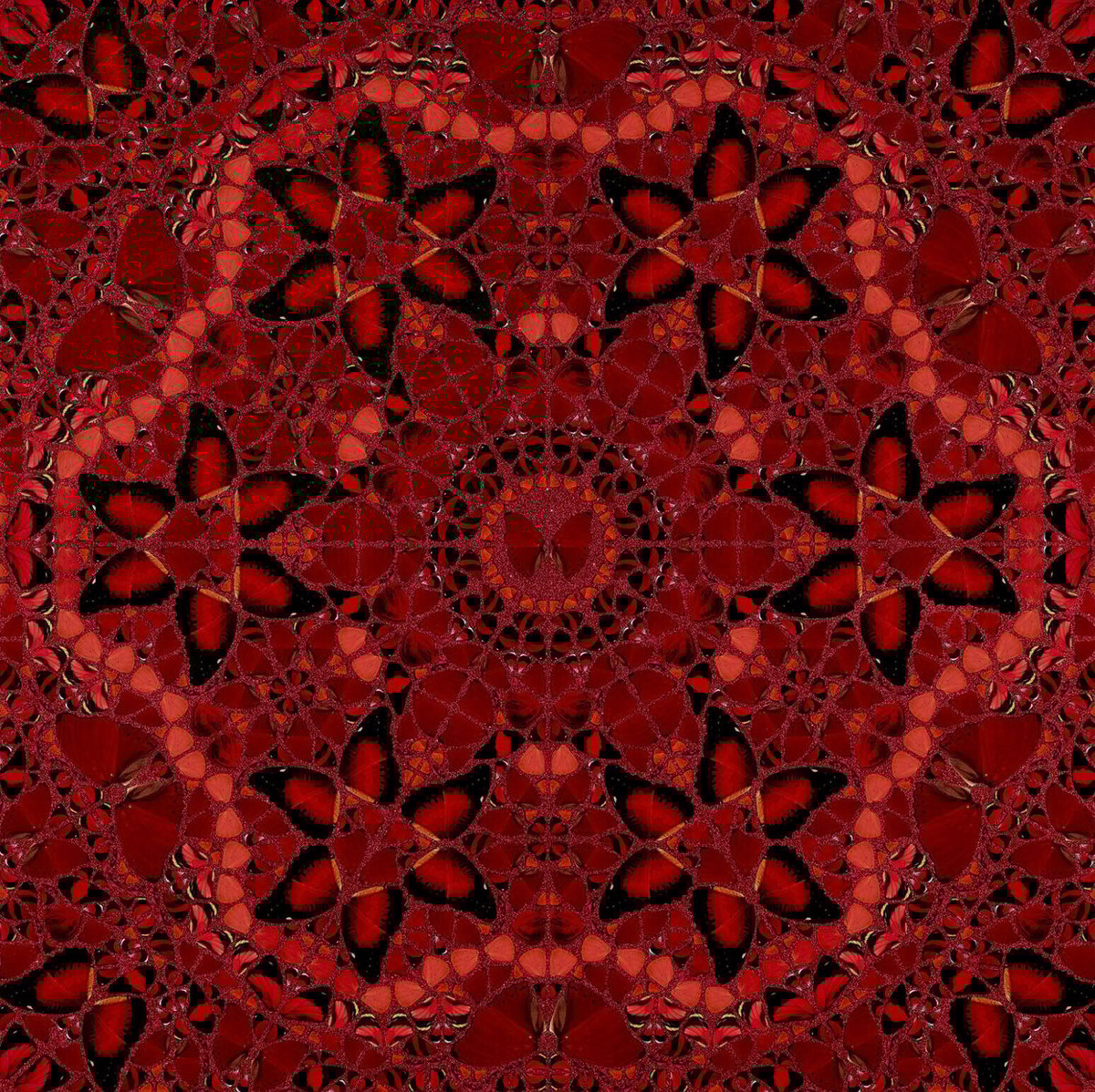 真作　100万円　ダミアン・ハースト　蝶　スプレーペイント　エンボス　サイン Amazon.co.jp: ダミアン・ハーストポスター血の波紋蝶キャンバス絵画