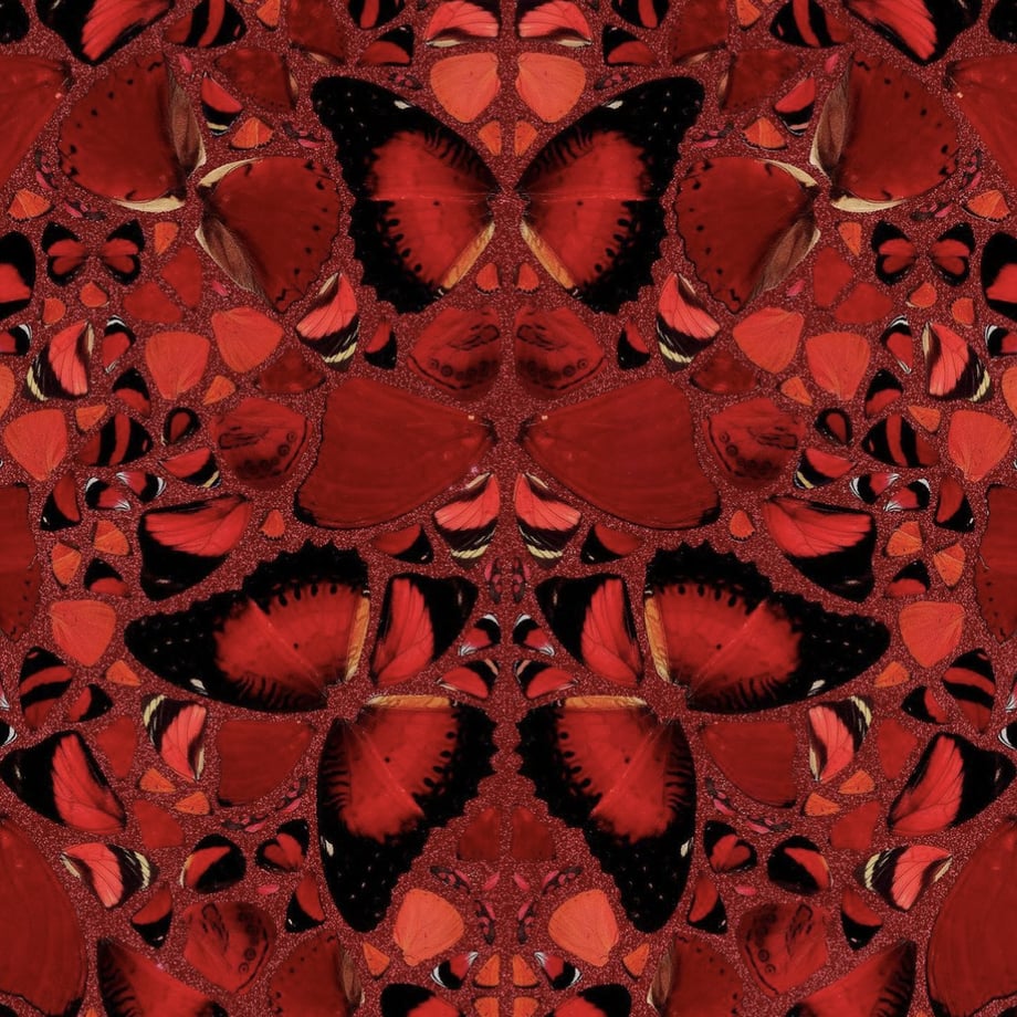 620345d072c5de5f4d8df2d6