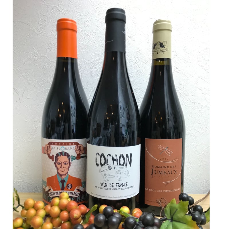 自然派ワイン ビオデナミ赤ワイン３本セット | wine shop vintage