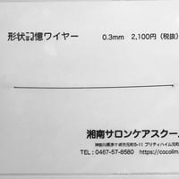 形状記憶ワイヤー（10cm）