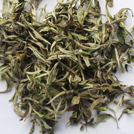 ホワイトティー（White Tea）  50g