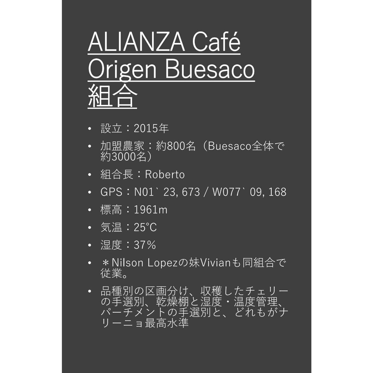 メキシココーヒー ALIANZA - コーヒー