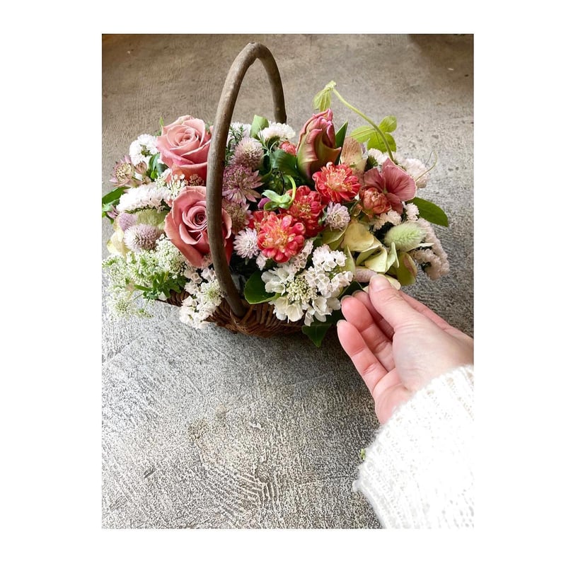 いつでも送りたいアレンジメントM | hanatozakkaogue'