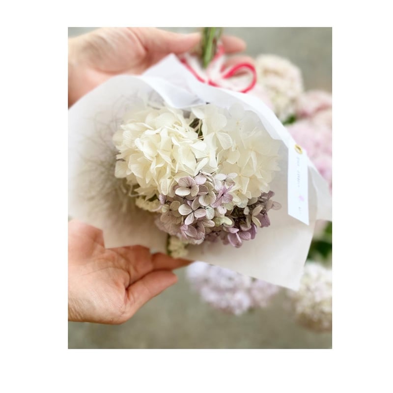 紫陽花 花お守り | hanatozakkaogue'