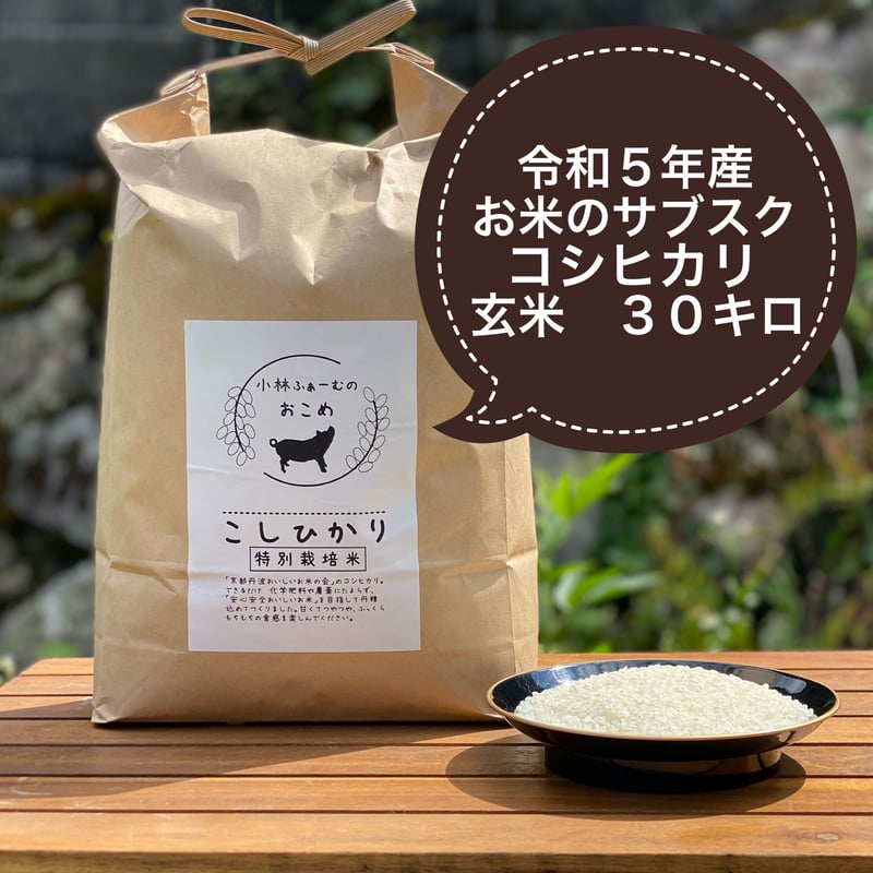 玄米３０キロ 京都丹波コシヒカリ 令和5年産 特別栽培米 | 京都小林
