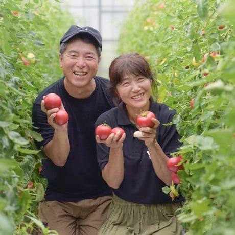 【予約】　とまとのじゅ～す180ml  3本　【７月中～下旬より順次発送】