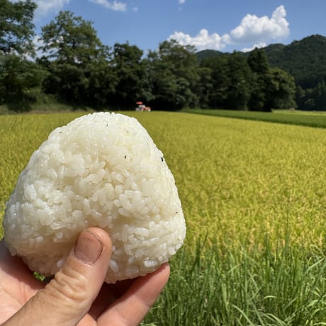 京都小林ふぁーむ　コシヒカリのパックご飯（精白米）20個入