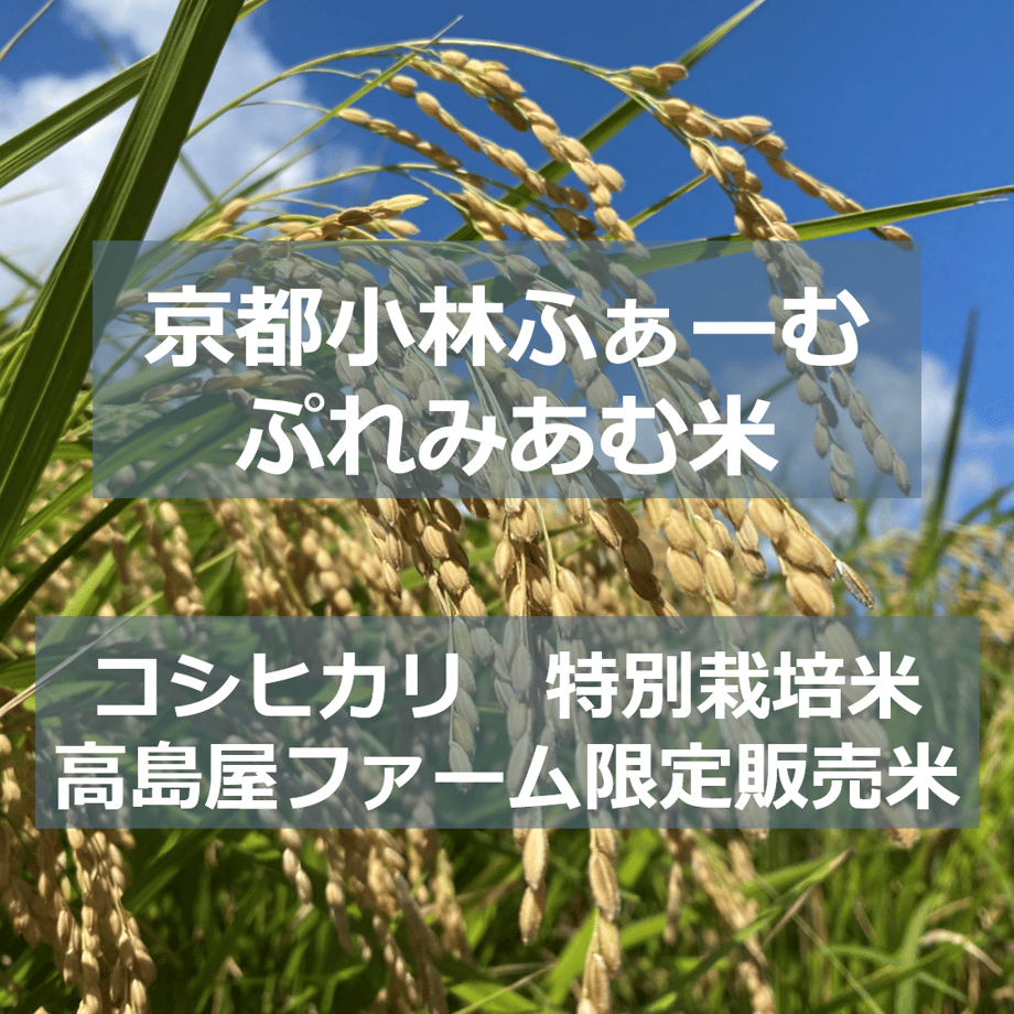 650e90cdd34c9c0033e3bca8