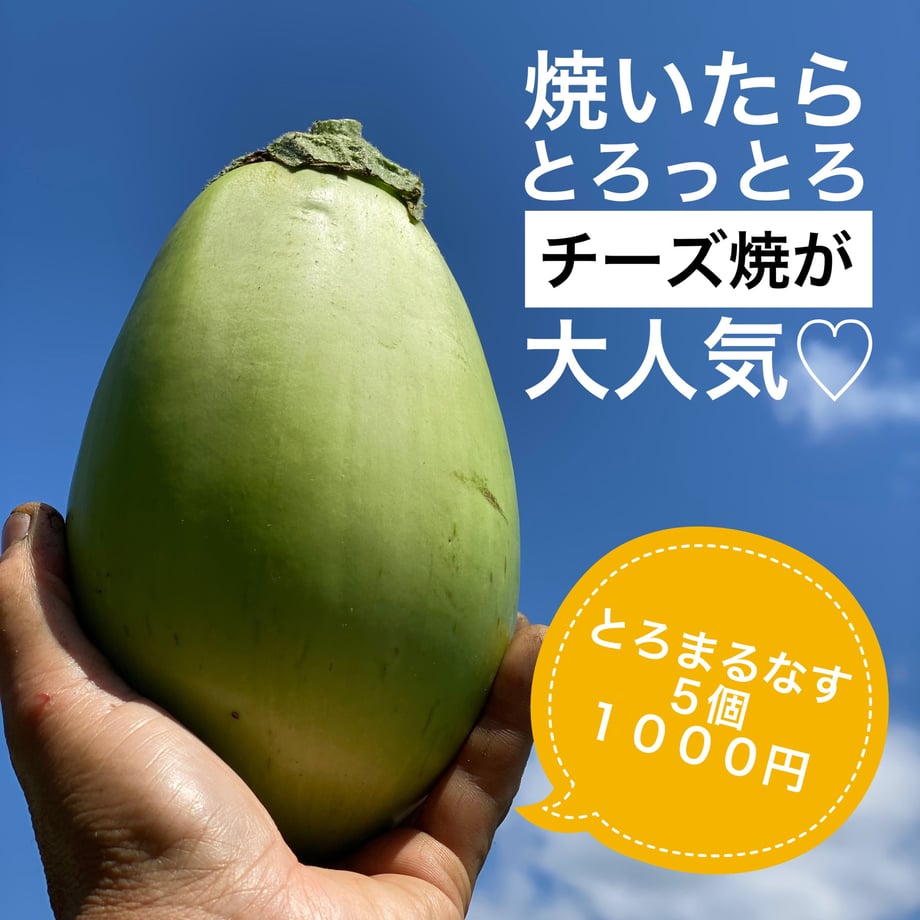 5f03f5384adba0524447fe0c