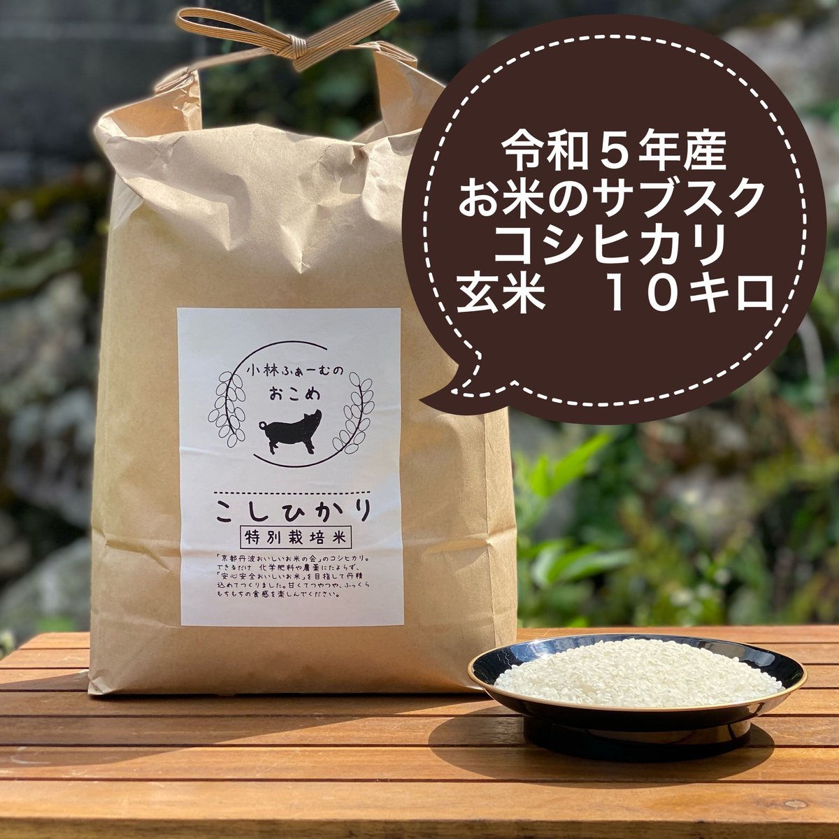 京都丹波コシヒカリ　特別栽培米　玄米１０キロ　令和5年産　京都小林ふぁーむ