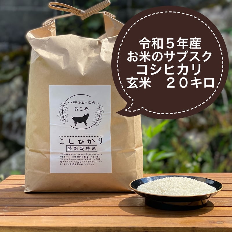 お米◆新米コシヒカリ◆白米20kg◆減農薬◆お買い得◆おすすめ◆20キロ