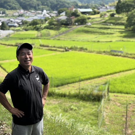 令和8年産　コシヒカリ（玄米）１０キロ　【特別栽培米】【京都府福知山産】