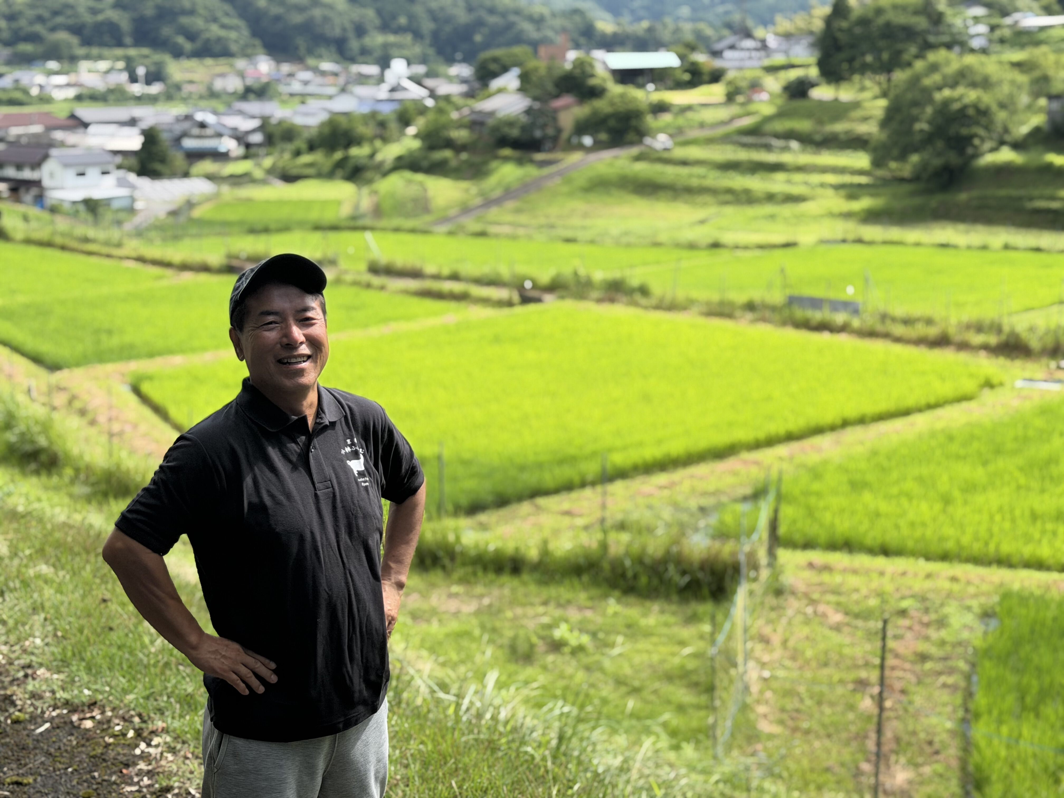 令和8年産 コシヒカリ（玄米）10キロ 【特別栽培米】【京都府福知山