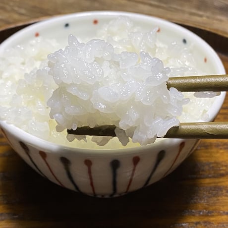 玄米5キロ　京都丹波コシヒカリ　令和5年産　特別栽培米