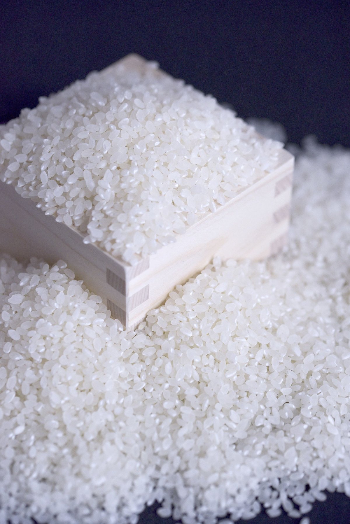 白米 5キロ 京都丹波コシヒカリ 令和5年産 特別栽培米 | 京都小林ふぁーむ
