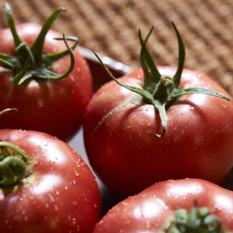 トマト♡様 リクエスト 6点 まとめ商品 take様 リクエスト 2点 まとめ商品 T様 リクエスト 2点 まとめ