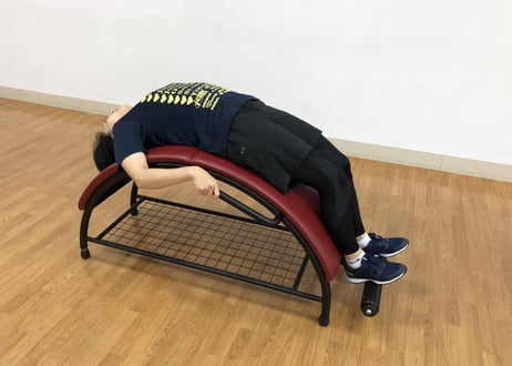 TISWELL　ロールベンチ・プラスTE-101A