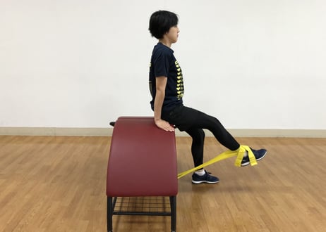 TISWELL　ロールベンチ・プラスTE-101A