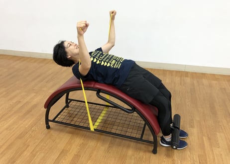 TISWELL　ロールベンチ・プラスTE-101A