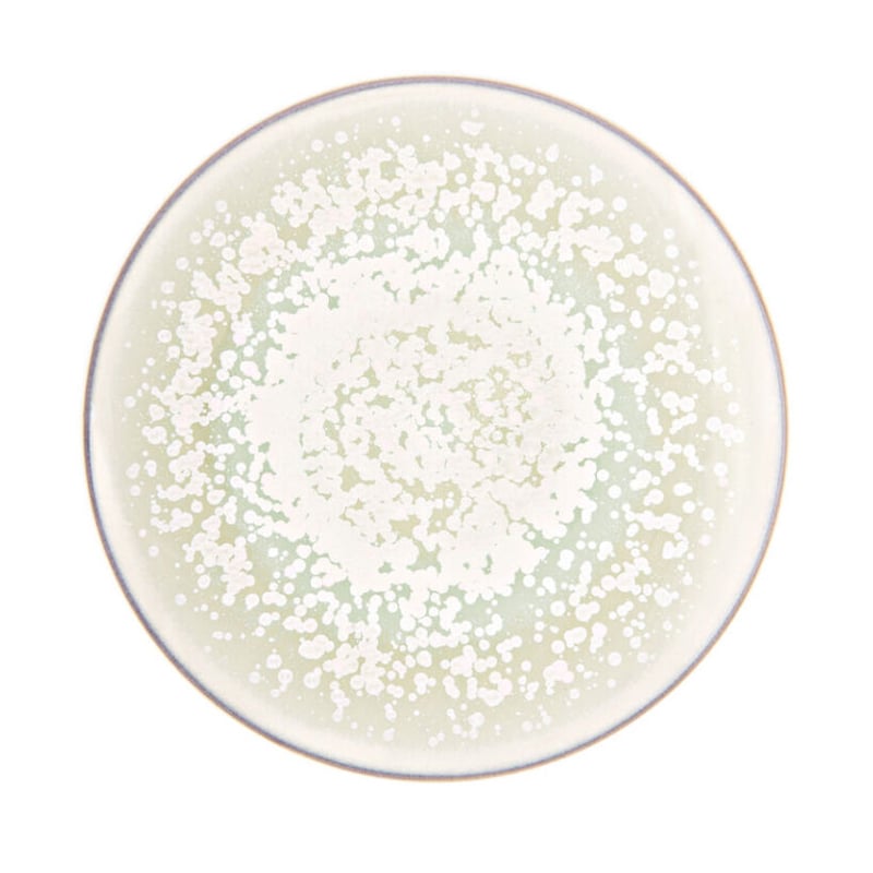 Jaune de Chrome ジョーヌドクローム　フランス製　リモージュ　皿 Jaune De Chrome - ジョーヌ・ド・クローム ] < Big Bang -