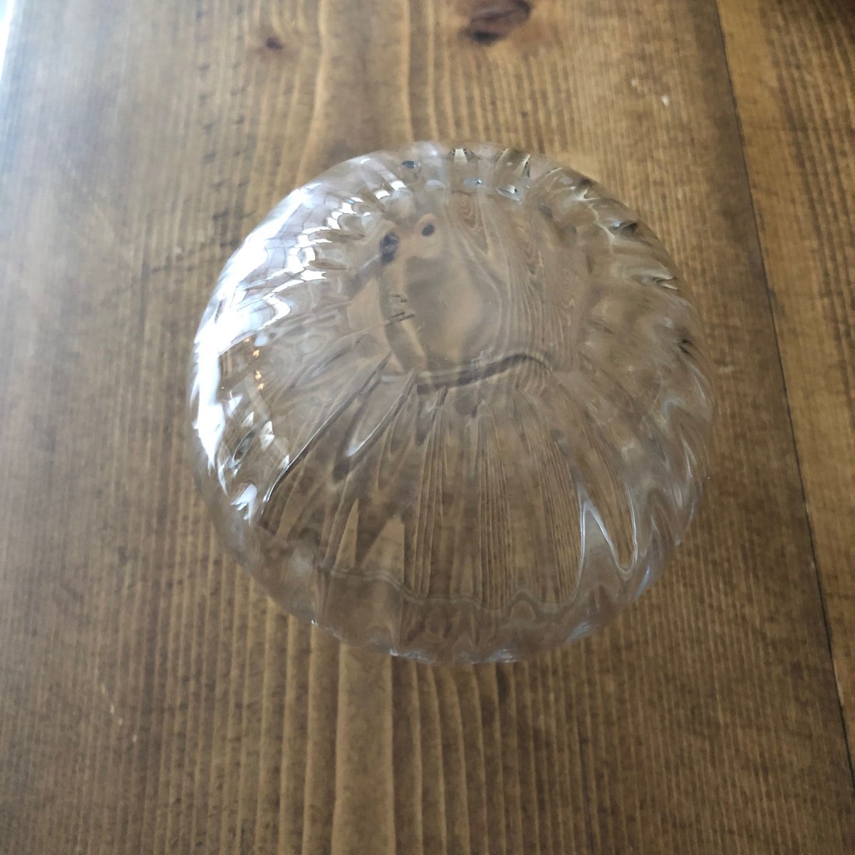 荒木桜子 モール片口 クリアー | hisoca