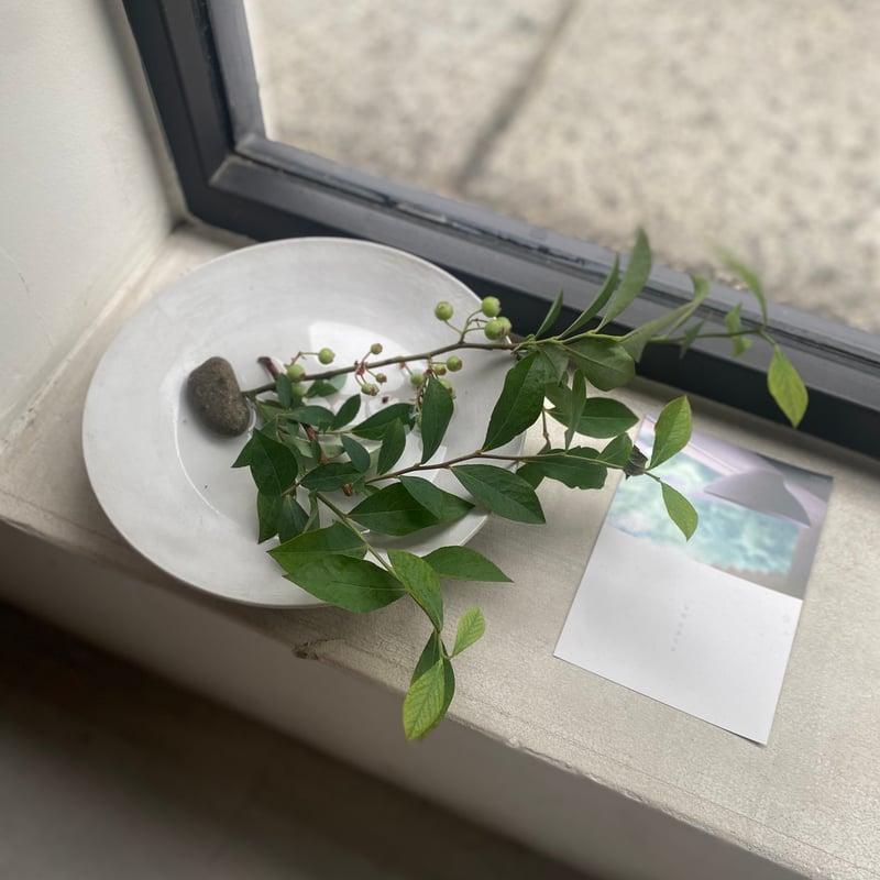 児玉修治 フラットボウル210 カンヴァス | hisoca