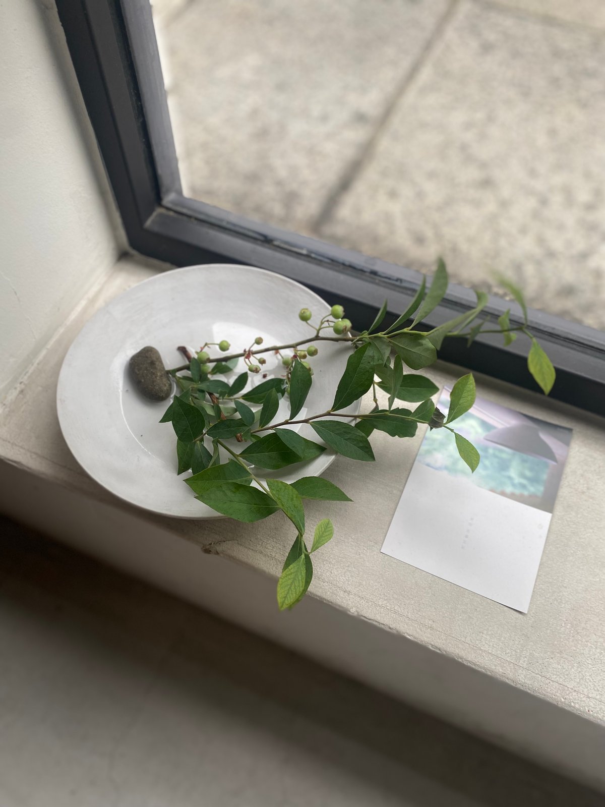 児玉修治 フラットボウル210 カンヴァス | hisoca