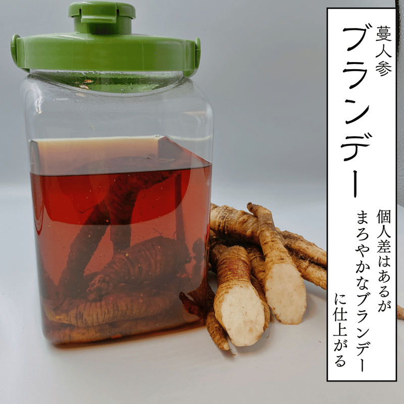 生蔓人参(ツルニンジン)1kg (1キログラム) | 安曇野長生会shop 生蔓人参(ツルニンジン)1kg (1キログラム) | 安曇野長生会shop