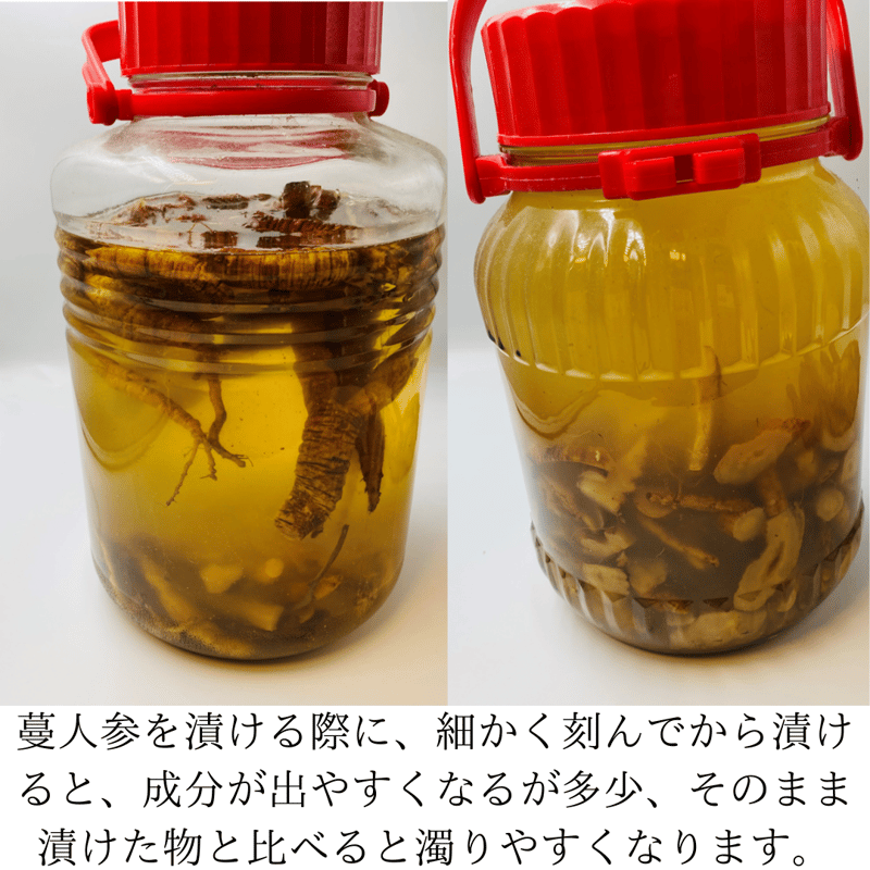 大阪府生駒山系信貴山の天然ツルニンジン 浮かば 天然 大阪府生駒山系信貴山の天然ツルニンジン 浮かば 天然