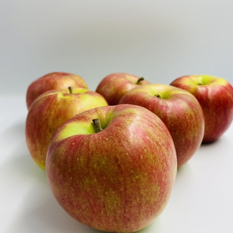 りんごパウダー1000g ～信州松本平の葉取らずりんご～ | 安曇野長生会shop