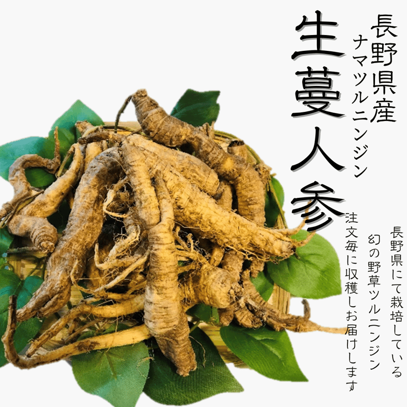 生蔓人参(ツルニンジン)1kg (1キログラム) | 安曇野長生会shop 生蔓人参(ツルニンジン)1kg (1キログラム) | 安曇野長生会shop