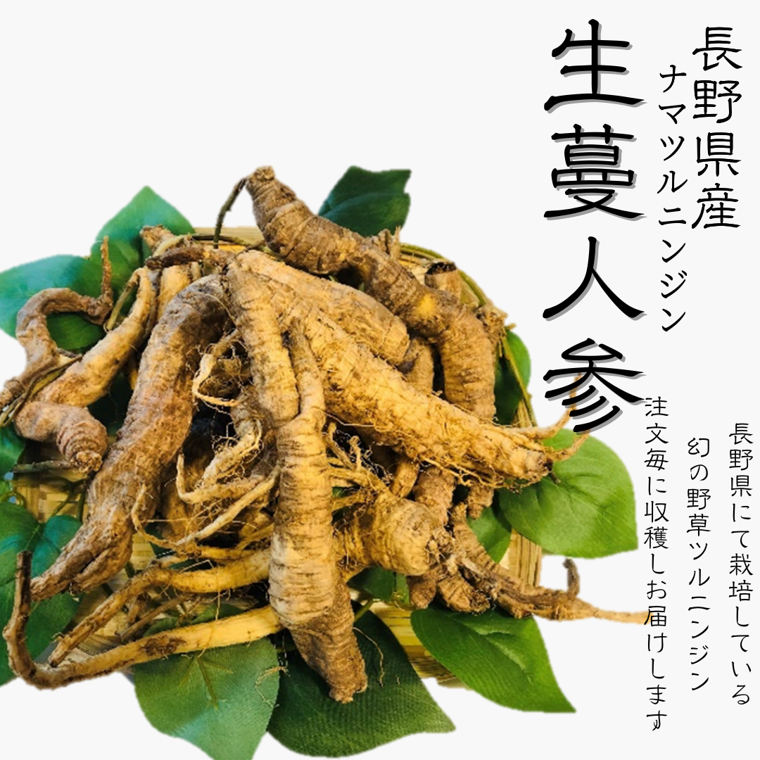 生蔓人参（ツルニンジン）1kg （1キログラム） | 安曇野長生会shop