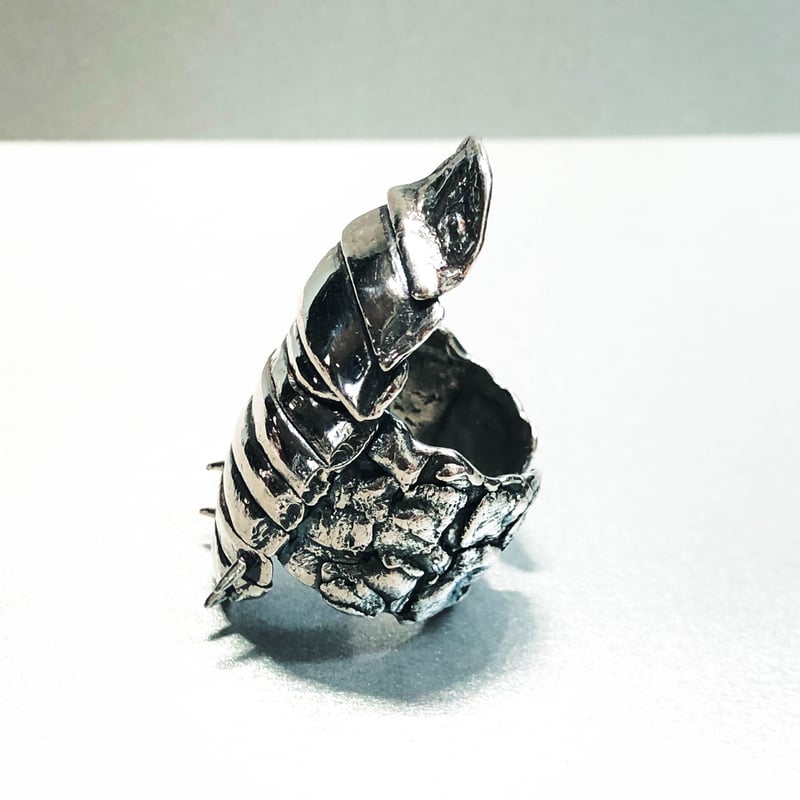 オーストラリア産 モグラゴキブリ 67mm ついに王様登場、ヨロイモグラ