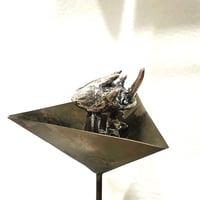 ゴホンダイコクコガネリング