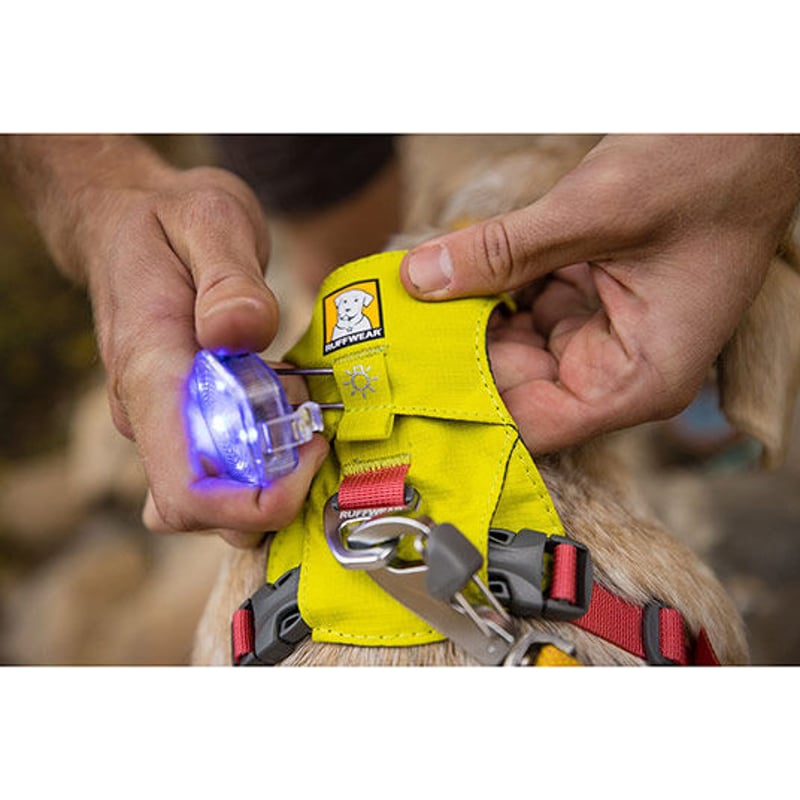 RUFFWEAR Hi & Light Dog Harness Sサイズ | ALEX WAN