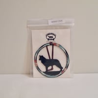 BORDER COLLIE