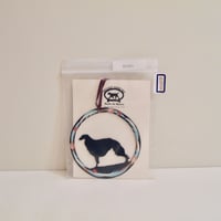 BORZOI