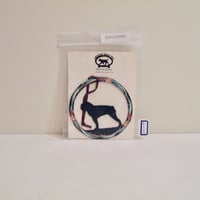BOSTON TERRIER
