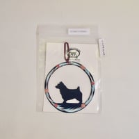 NORWICH TERRIER