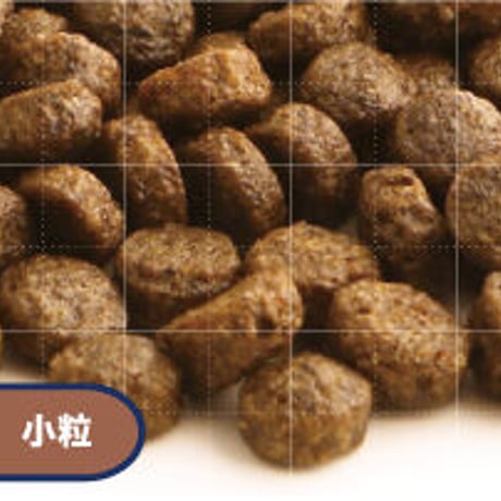 サーモン 1.5kg （小粒）