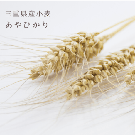 さよむらさきのブール