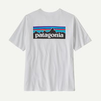 メンズ・P-6ロゴ・レスポンシビリティー 38504 / patagonia パタゴニア