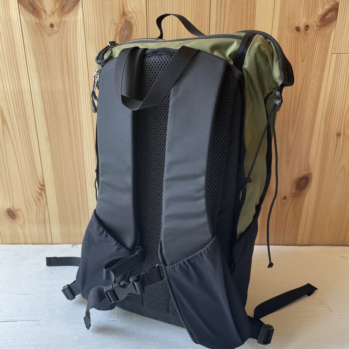 BUDDY16（バディ16）/ PAAGO WORKS（パーゴワークス） | BUDPALMS