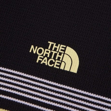 ショートスリーブフリーランパネルボーダークルー（レディース）/ ノースフェイス THE NORTH FACE