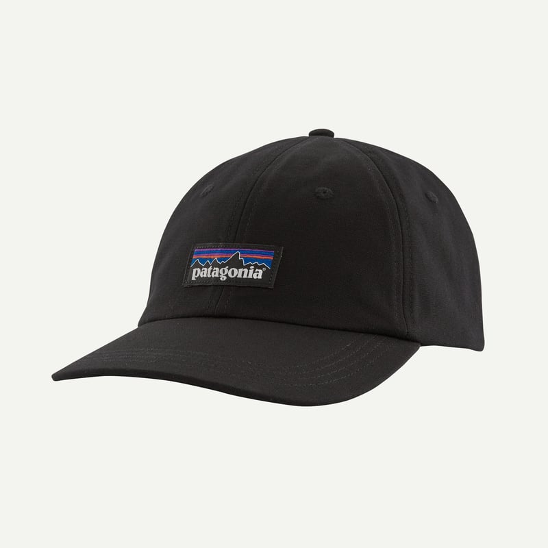 P-6 ラベル・トラッド・キャップ / Patagonia パタゴニア | BUDPALMS