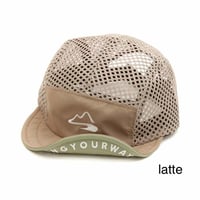 original cap MSC-015 / milestone
