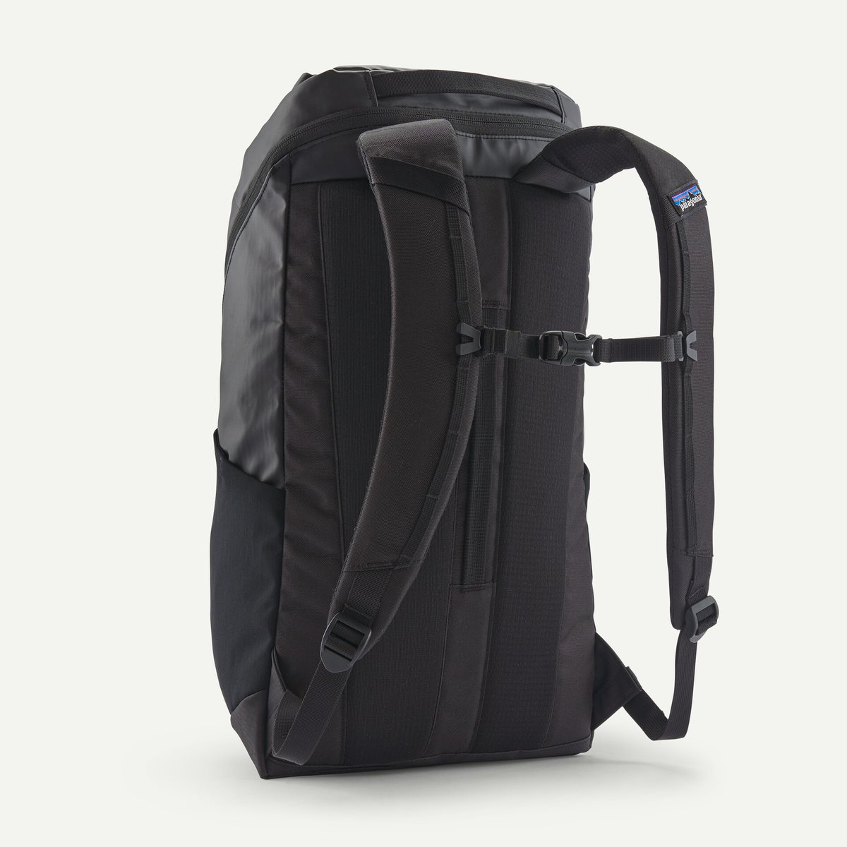 ブラックホール・パック 25L / patagonia パタゴニア | BUDPALMS on