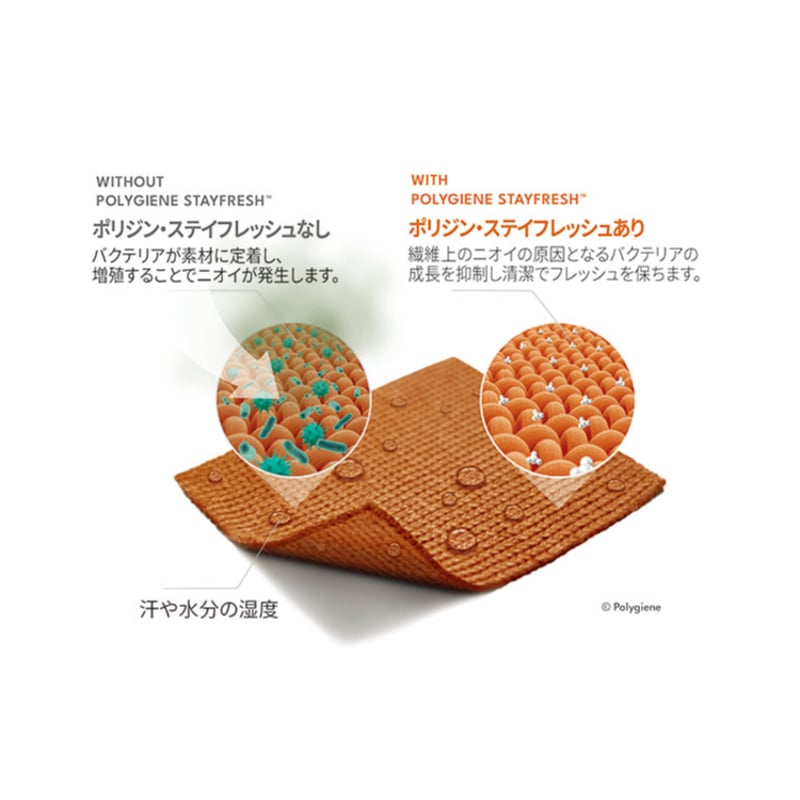 レイバックライドティー（ユニセックス） / THE NORTH FACE ノース