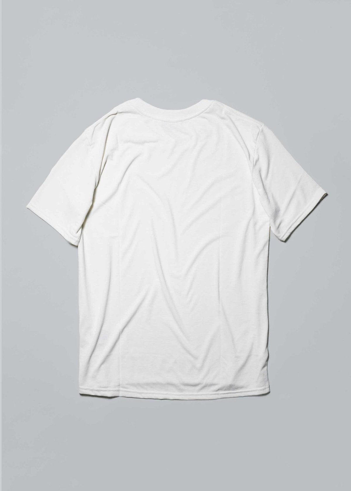 DRYCOTTONY ベーシックTシャツ / BRING ブリング | BUDPALMS on